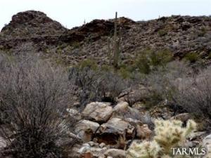 13365 N Teal Blue  Tucson Arizona 85742
