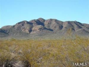 7925 N Blanco Wash  Marana Arizona 85653