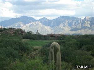 1190 W Tortolita Mountain Cir Oro Valley Arizona 85755