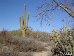   Camino De La Manana  Tucson Arizona 85742