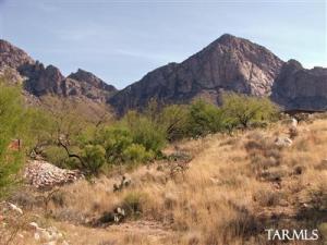 1774 E Placita De La Olla  Oro Valley Arizona 85737
