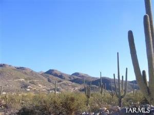 5227 N Mount Lemmon Short Rd Tucson Arizona 85749