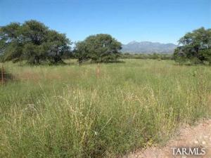  Collie Dr Sonoita Arizona 85637