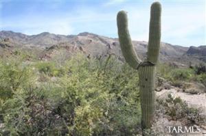 6131 E Finisterra  Tucson Arizona 85750