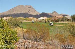 13004 N Desert Flora Ln Marana Arizona 85658