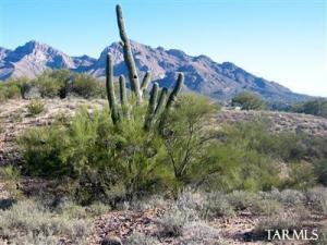 801 W Pomegranate Ln Oro Valley Arizona 85737