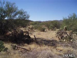 442 E Sun Spring Pl Oro Valley Arizona 85755