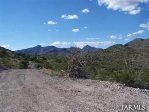  W Io Way Portal Arizona 85632