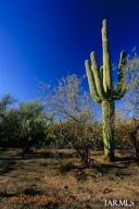 4460 N Soldier  Tucson Arizona 85749