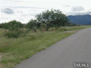 3254 W Thunderpass Red Hawk  Benson Arizona 85602