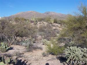 5678 S Old Spanish  Tucson Arizona 85747