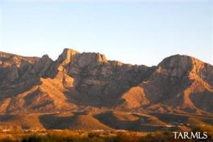 10595  Della Sole Ct Oro Valley Arizona 85737