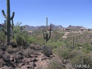 2059 N Calle Del Suerte  Tucson Arizona 85745