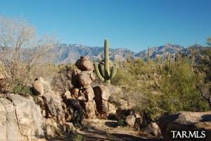 1235 W Weathered Stone Pl Oro Valley Arizona 85755
