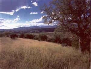   Rail X Ranch Estates  Patagonia Arizona 85624