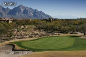 695 W Vistoso Highlands Dr Oro Valley Arizona 85755