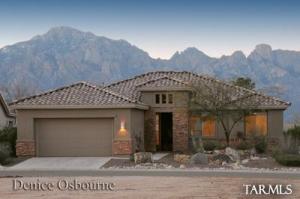 61645 E Border Rock Rd Tucson Arizona 85739