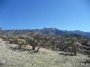   Edwin  Tucson Arizona 85739