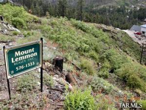12833 N Loma Linda Extension Rd Mt. Lemmon Arizona 85619