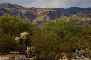 2776 N Megafauna Ct Tucson Arizona 85749