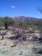 2650 N Megafauna Ct Tucson Arizona 85749