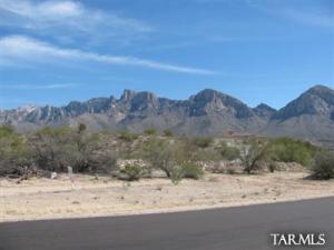 10942 N Avenida Vallejo  Oro Valley Arizona 85737