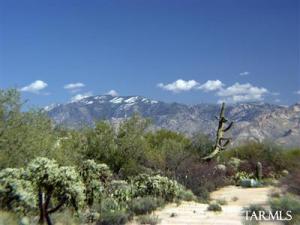 2672 W Desert Splendor Ct Oro Valley Arizona 85742