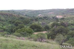   San Gabriel Dr Patagonia Arizona 85624