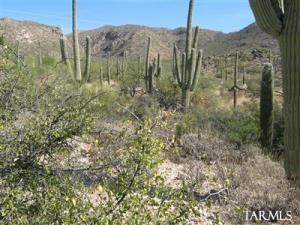 3650 N Camino Ojo De Agua  Tucson Arizona 85749