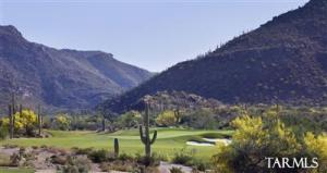 6119 W Seven Saguaros Cir Marana Arizona 85658