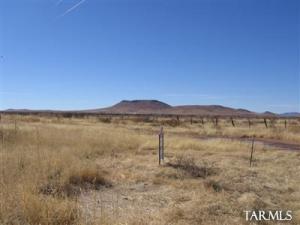 18 AC  NE Corner Pima and Papago  Pearce Arizona 85625