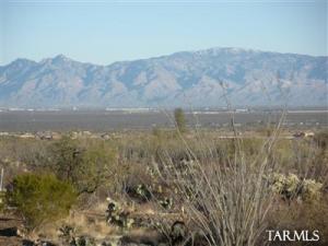 18111 S Rustling Leaf Tr Vail Arizona 85641