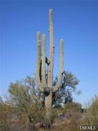 3865 W Sallee Rd Tucson Arizona 85745