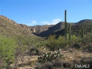 3561 N Outpost Rd Tucson Arizona 85749