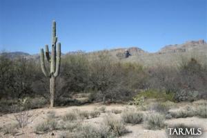 4880 N Vista De Loma Segunda  Tucson Arizona 85749