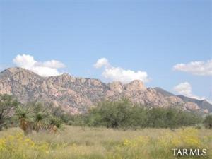 68 E Tom Jeffords Dr St. David Arizona 85630