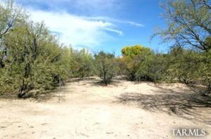 1991 N Bonanza  Tucson Arizona 85749