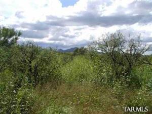 6  Avenida de Herran  Tubac Arizona 85646