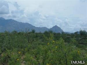 331 E Placita Colonia Real  Green Valley Arizona 85614