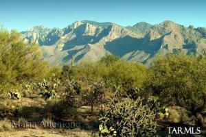 2570 W Lambert Ln Oro Valley Arizona 85742