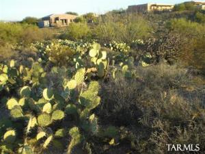 1088 N Deer Glen Pl Tucson Arizona 85745