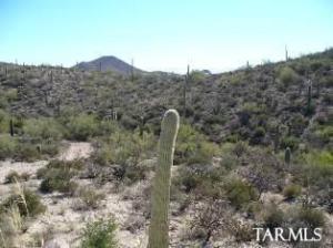 91 N RESORT HILLS Pl Tucson Arizona 85745