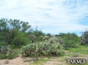 1895 W El Toro Rd Sahuarita Arizona 85629