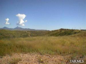 88  Circulo Montana  Patagonia Arizona 85624
