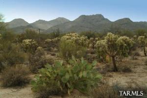   Tangerine Rd Marana Arizona 85742