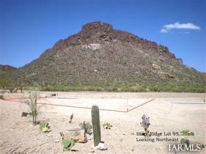 2966 S Pitchfork Ct Tucson Arizona 85713