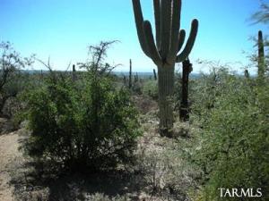3757 N Camino Cantil  Tucson Arizona 85749