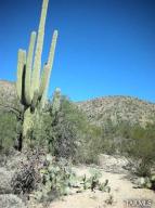 3725 N Camino Cantil  Tucson Arizona 85749