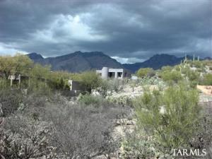 6774 E Snyder Rd Tucson Arizona 85750