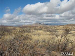   Rambling Rd Elfrida Arizona 85610